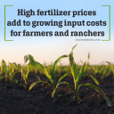 YOUR TEXAS AGRICULTURE MINUTE