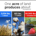 YOUR TEXAS AGRICULTURE MINUTE