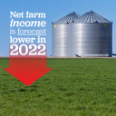 YOUR TEXAS AGRICULTURE MINUTE