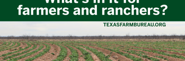 YOUR TEXAS AGRICULTURE MINUTE