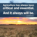 YOUR TEXAS AGRICULTURE MINUTE